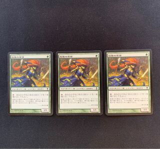 桜族の斥候 コモン