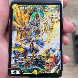 神聖龍 エモーショナル・ハードコア