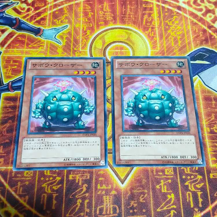 サボウ・クローザー ノーマル JP035