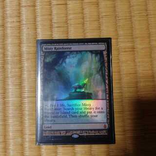 霧深い雨林　エクスペディション　FOIL