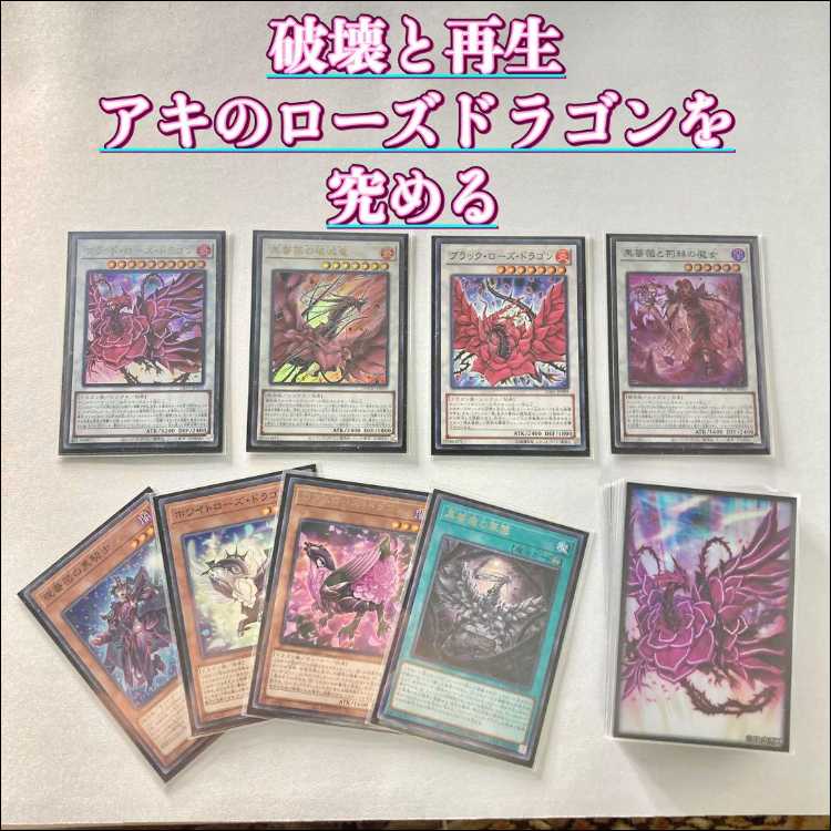 本格構築【ローズドラゴン】デッキ＆二重スリーブ 《 夜薔薇の黒