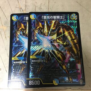 「雷光の聖騎士」