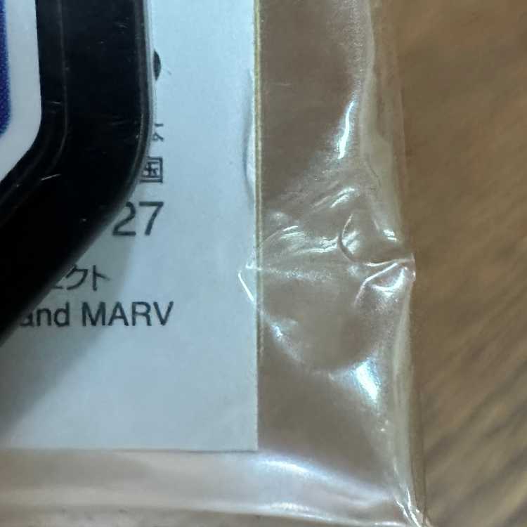 アーマードミュウツー PROMO プロモ 365/SM-P ポケモンカードゲーム ポケカ ②