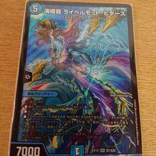 【美品】海姫龍 ライベルモット・ビターズ