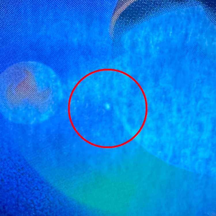 リーリエの決心 SR 086/063 M1L ポケモンカードゲーム ポケカ