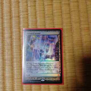 溢れかえる岸辺　エクスペディション　FOIL