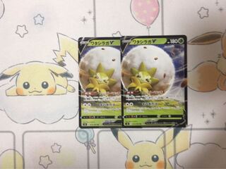 ワタシラガV2枚セット