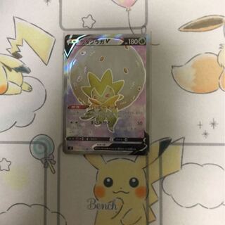 ワタシラガV未使用