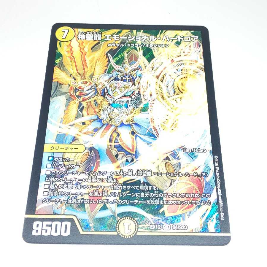 神聖龍 エモーショナル・ハードコア