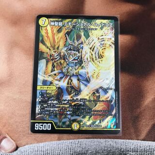 神聖龍 エモーショナル・ハードコア