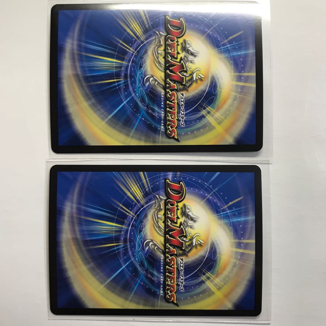 龍世界 -龍の降臨する地- 2枚