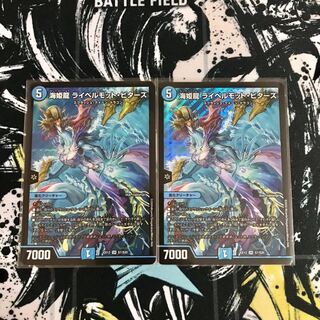 海姫龍 ライベルモット・ビターズ2枚