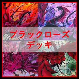 遊戯王（デッキ・まとめ売り）のカード販売・通販 | magi