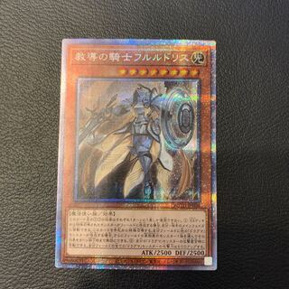 たけ様専用【限定値下げ】教導の騎士フルルドリス PSE