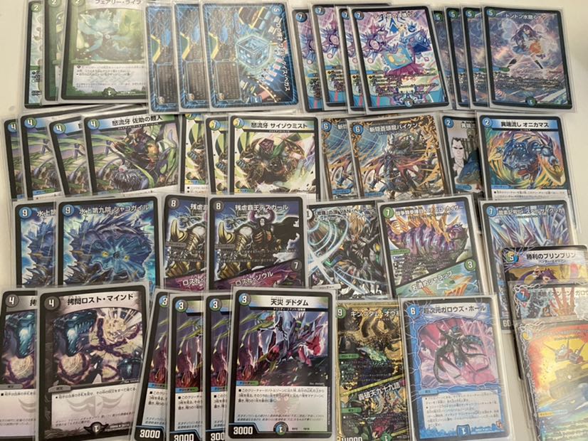 アナカラーシャコガイル