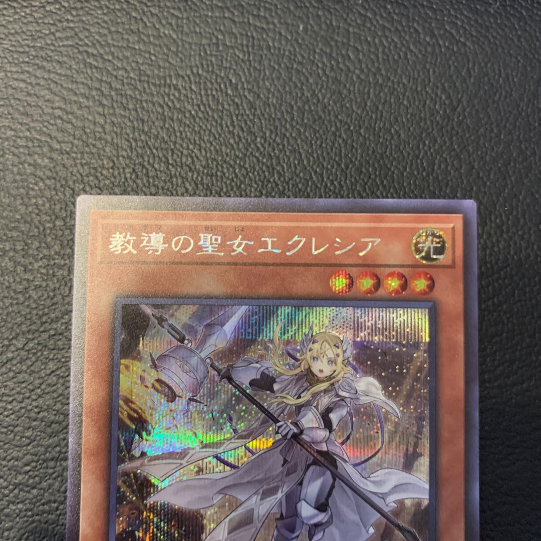 【限定値下げ】教導の聖女エクレシア SE