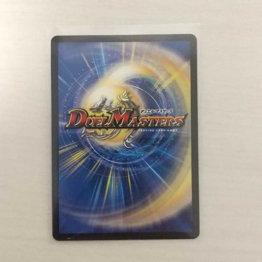 龍世界 -龍の降臨する地- VR 1枚