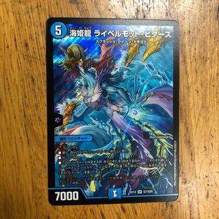 海姫龍 ライベルモット・ビターズ