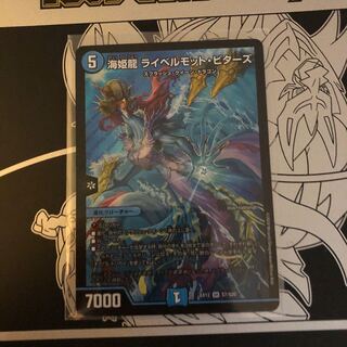 海姫龍 ライベルモット・ビターズ SR