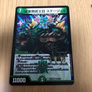 武家類武士目 ステージュラ