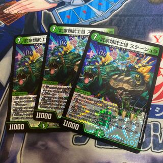 武家類武士目 ステージュラ