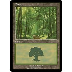 [EX+]Forest/Forest [English] [EURO2