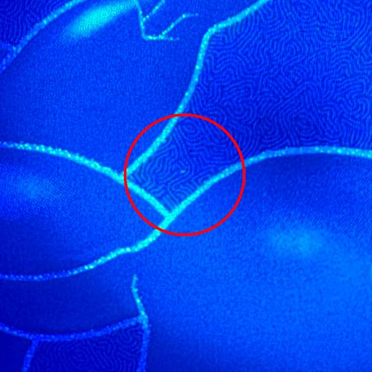 Zekrom SR 055/053 BW1 Pokémon Card Game Pokéka