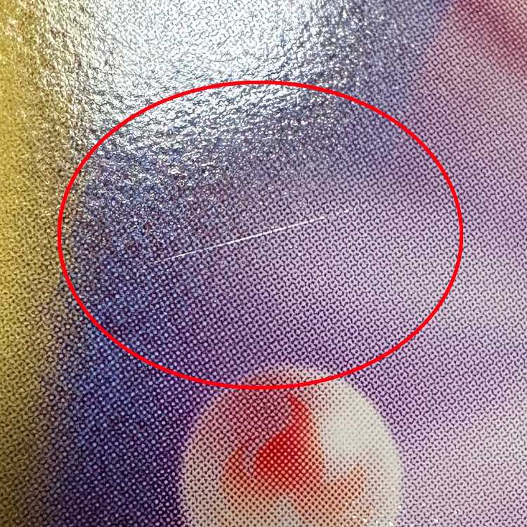 Zekrom SR 055/053 BW1 Pokémon Card Game Pokéka