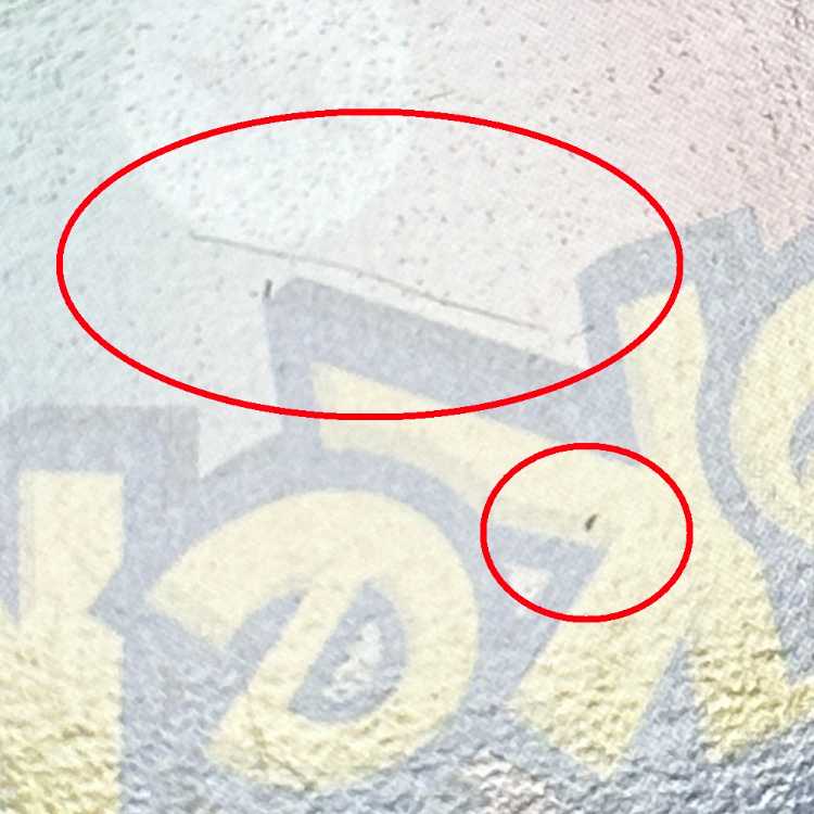 Zekrom SR 055/053 BW1 Pokémon Card Game Pokéka