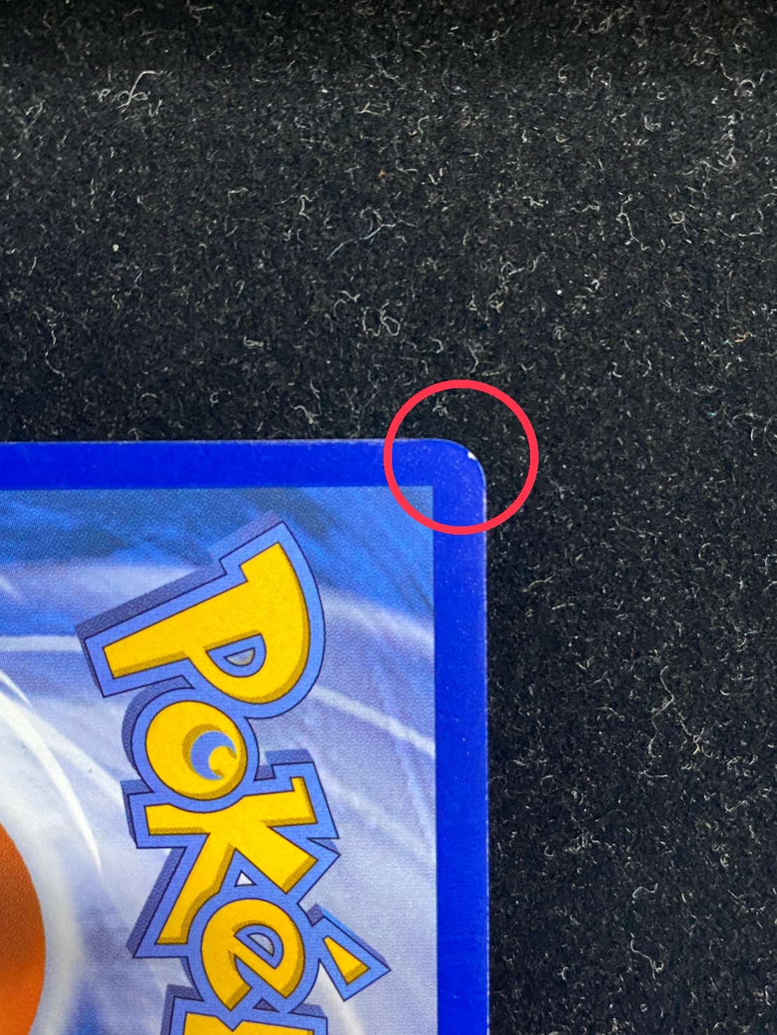 〔状態A-〕パラダイスリゾート(2025/STAFF)【P】{SV-P}