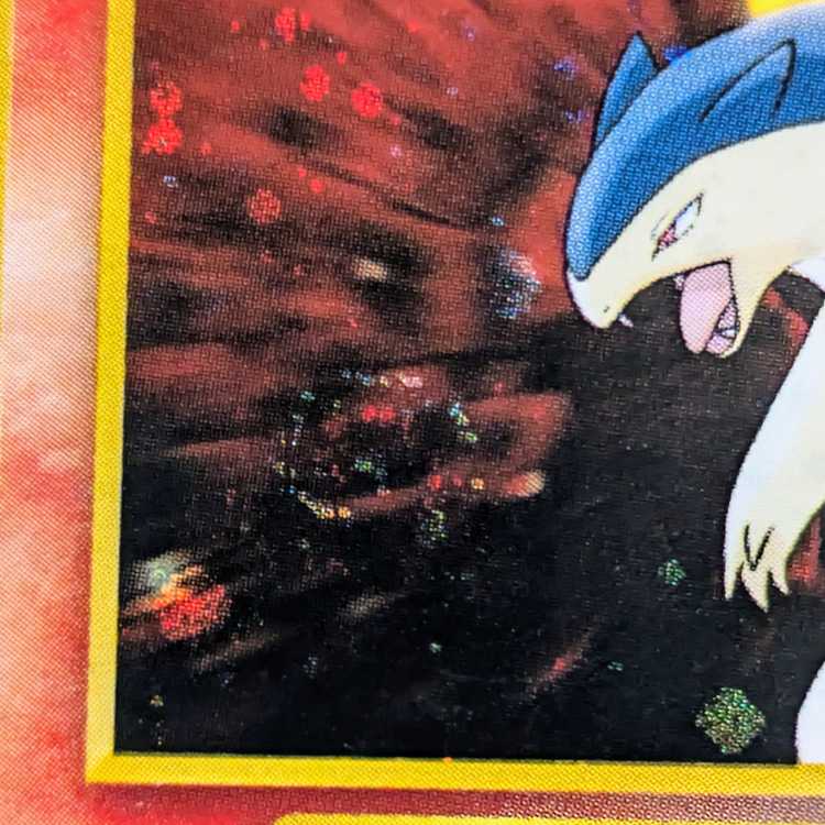 Typhlosion Kira Old back ★