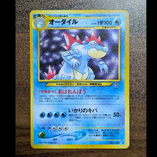 PSA9 旧裏 オーダイル_プレミアムファイル PROMO 第1世代 オーダイル 旧裏 プレミアムファイル PROMO 第1世代 1996~1999