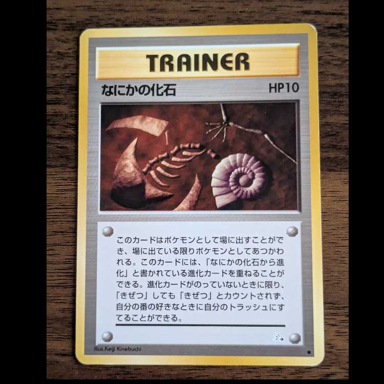 なにかの化石　旧裏