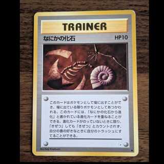 なにかの化石　旧裏