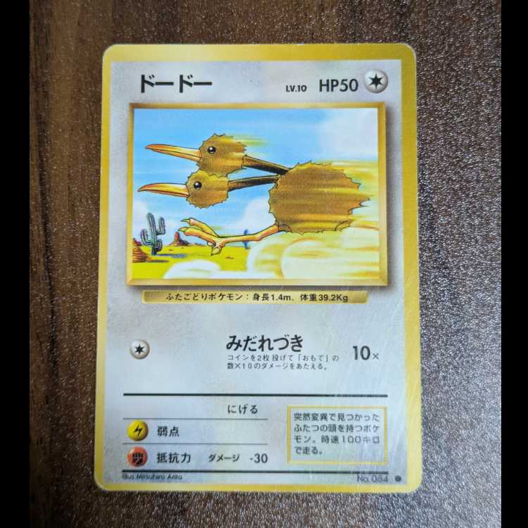 ドードー　旧裏