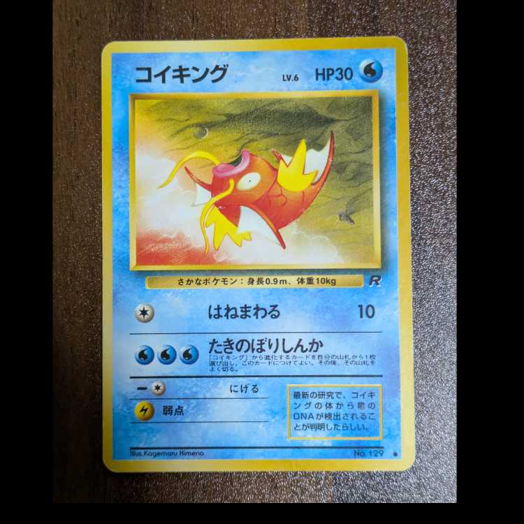Magikarp Old Back