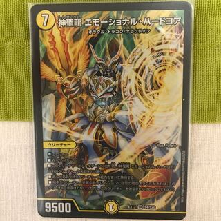 神聖龍 エモーショナル・ハードコア