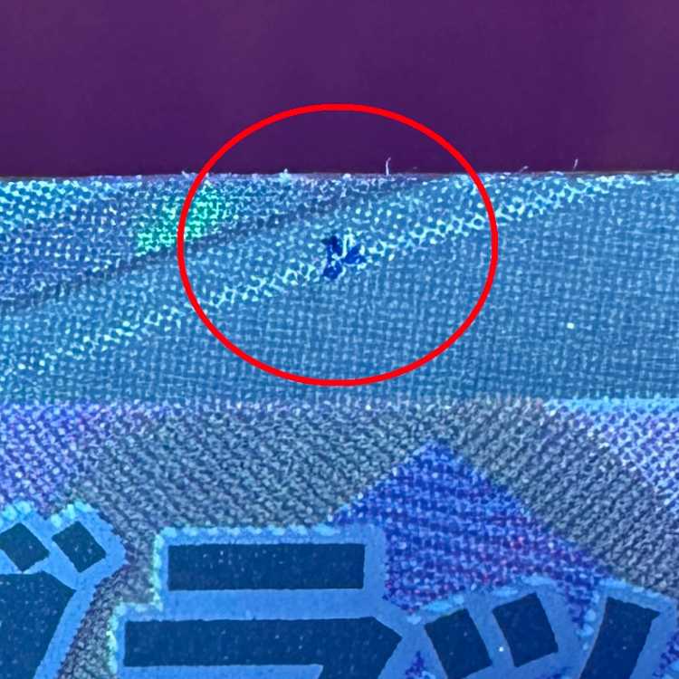 UmbreonV CSR 244/184 S8b Pokémon Card Game Pokéka