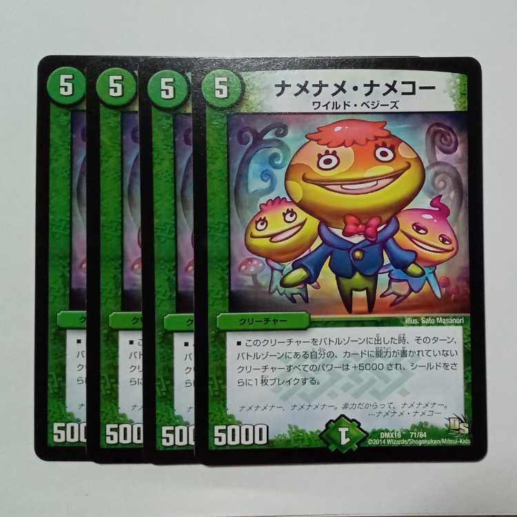 Namename Nameko (set of 4) DMX16 71/84 DUEMA Trekking Road