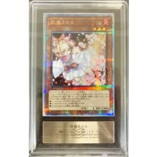 ARS 鑑定」の激安通販 | magi