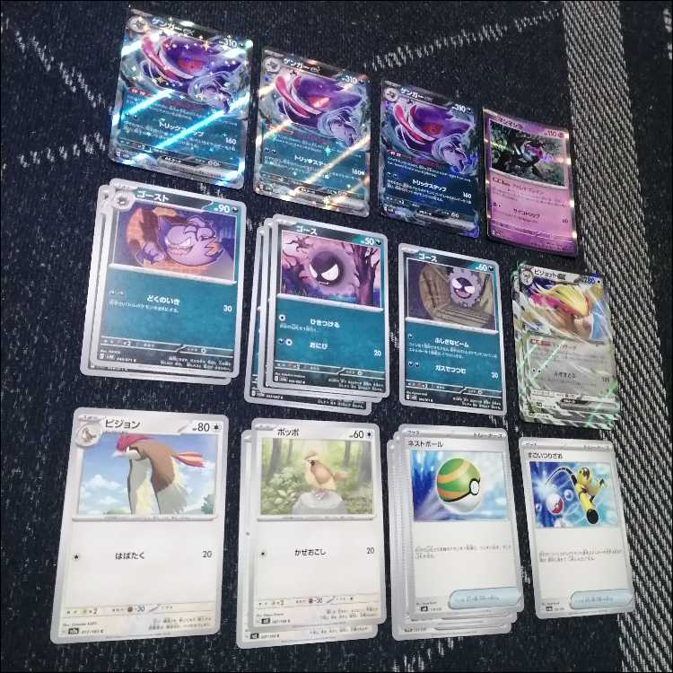 ポケモンカード ゲンガーex デッキ 偉大な大樹 ペパー [04107]の