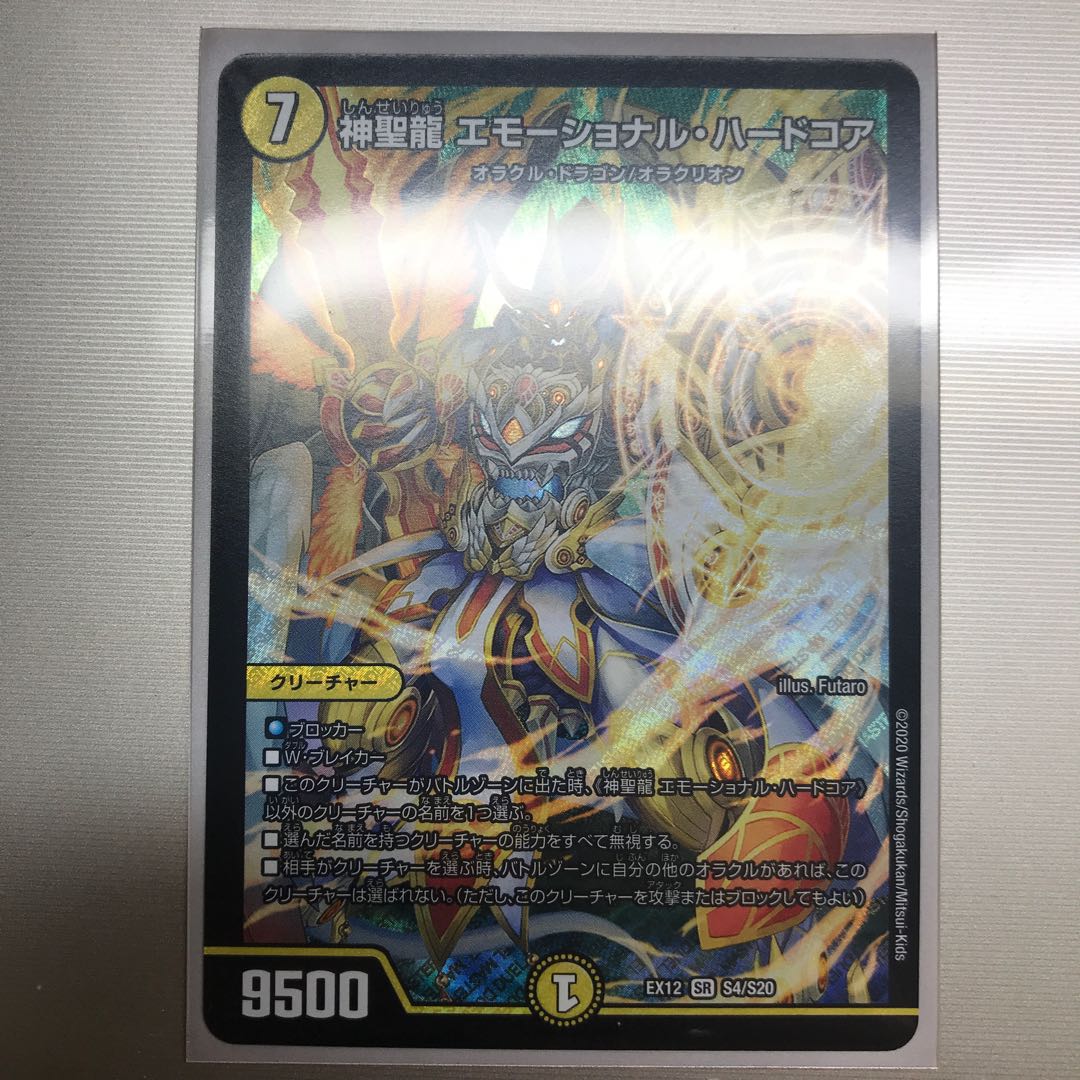 神聖龍 エモーショナル・ハードコア