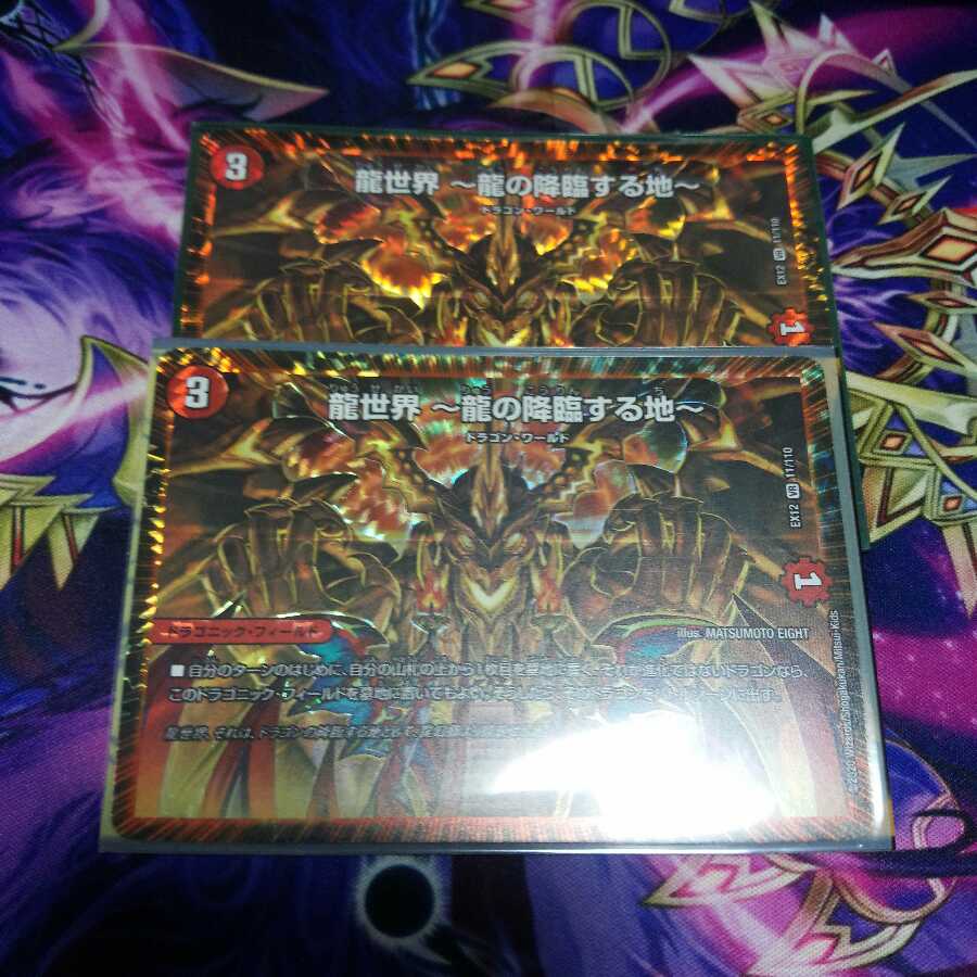 龍世界 -龍の降臨する地- 2枚