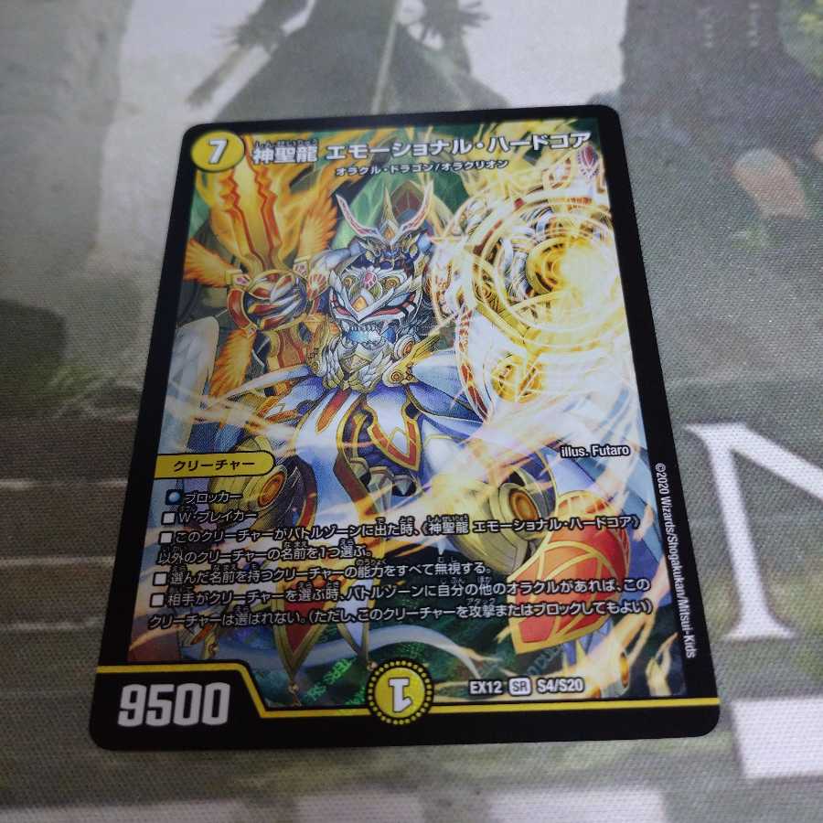 神聖龍 エモーショナル・ハードコア