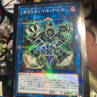 サクリファイスアニマ