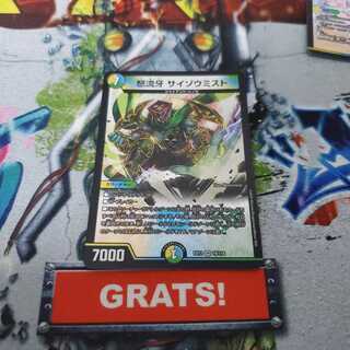 怒流牙 サイゾウミスト VR