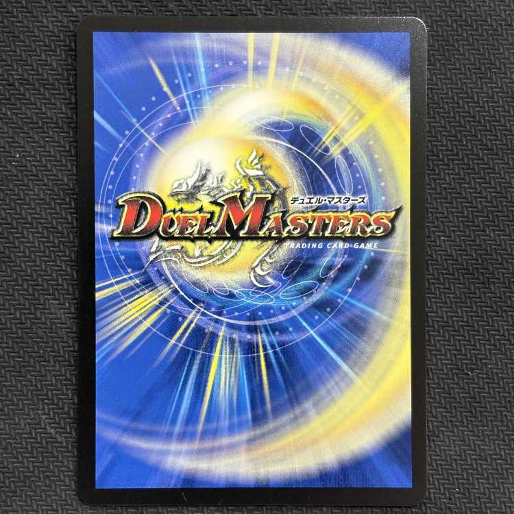 ①プリンセス・パーティ -シラハの絆- VR P53/Y24