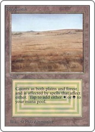 MTG(デュアルランド)のカード販売・通販 | magi