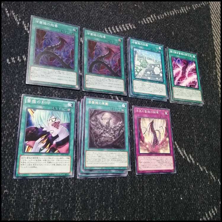 Yu-Gi-Oh! Rose Dragon Deck Black Rose [04126].