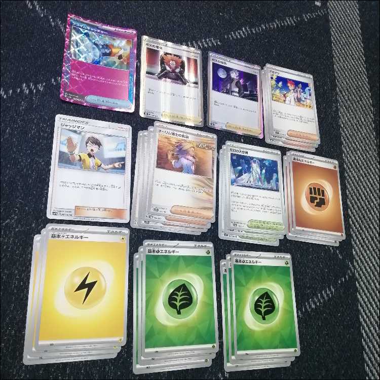 ポケモンカード　タケルライコ　オーガポン　デッキ　メガガルーラ　[04125] ポケモンカード タケルライコex オーガポンex デッキ [03007]の